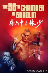 The 36Th Chamber Of Shaolin (1978) ORG Hindi Dubbed Movie